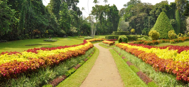 Image result for peradeniya garden